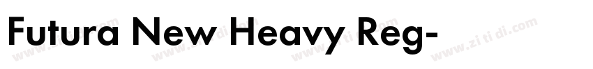 Futura New Heavy Reg字体转换